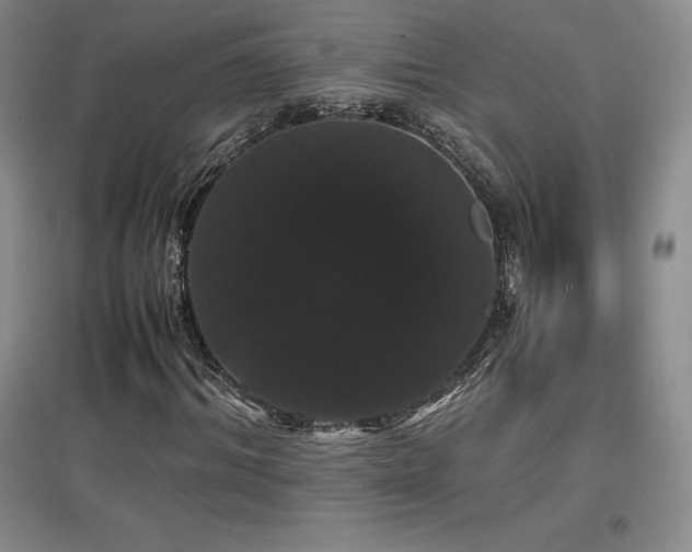 X0000097620964200802291322