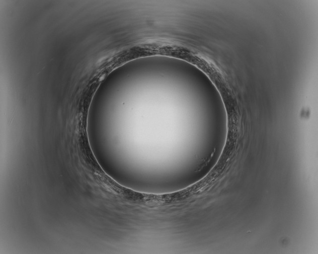 X0000097620965200802291322