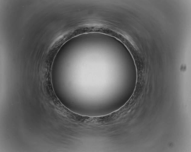 X0000097620967200802291322