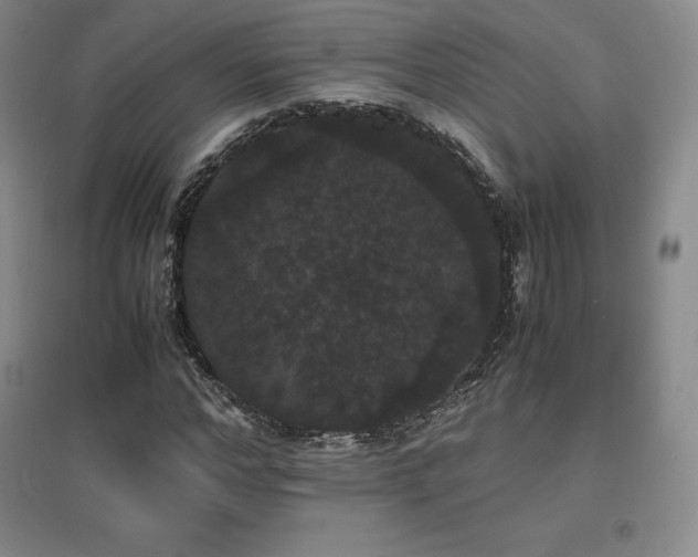 X0000097620968200802291322