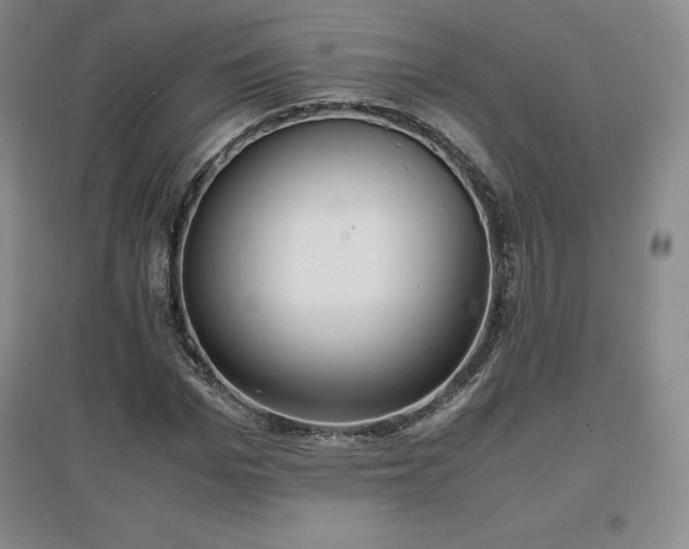 X0000097620969200802291322