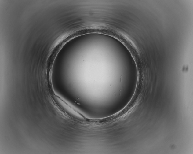 X0000097620970200802291322