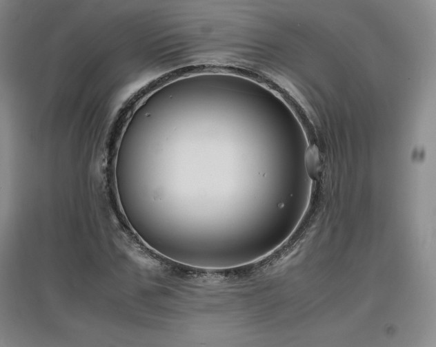 X0000097620971200802291322