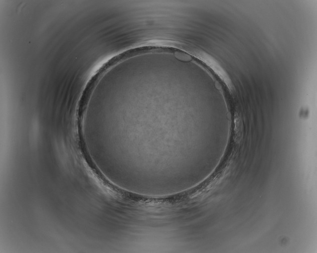 X0000097620972200802291322