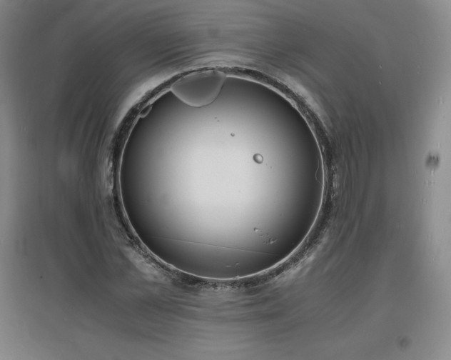 X0000097620973200802291321