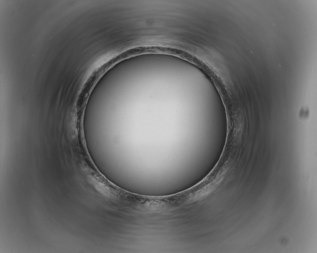X0000097620974200802291321