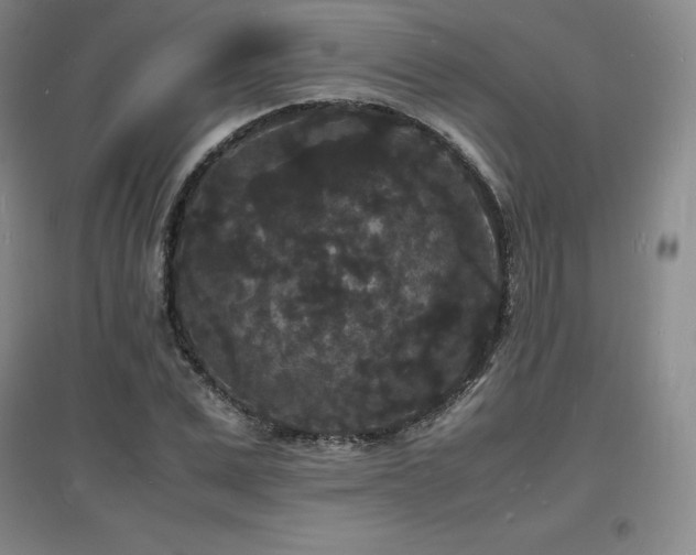X0000097620975200802291321