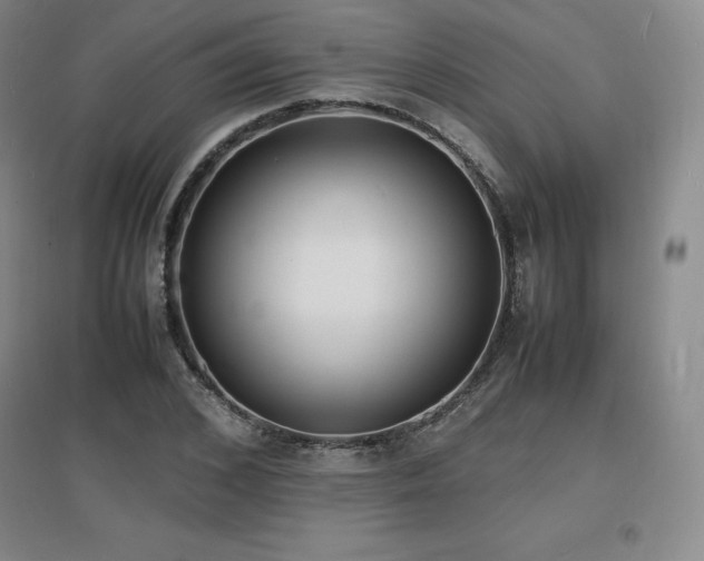 X0000097620976200802291321