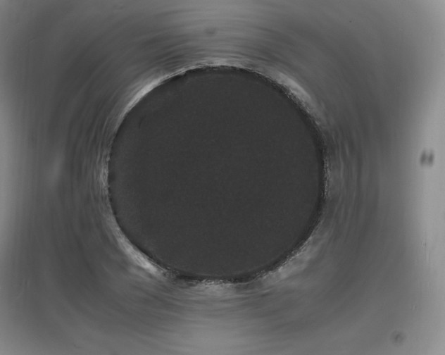X0000097620977200802291321