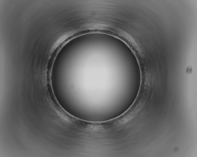 X0000097620978200802291321