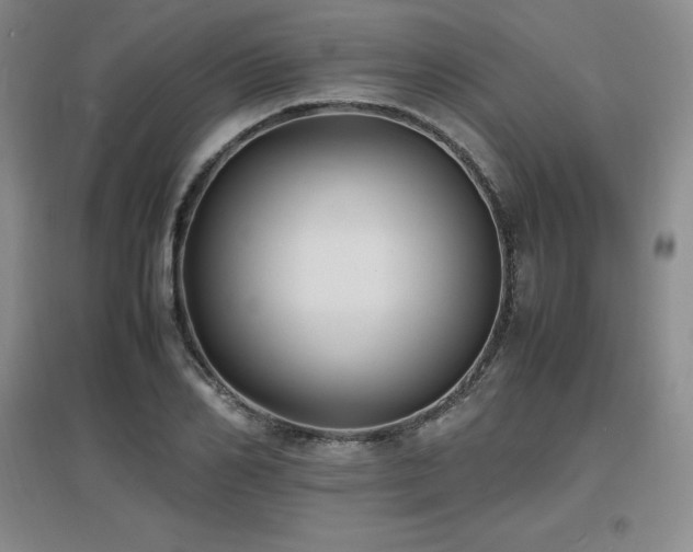X0000097620982200802291321