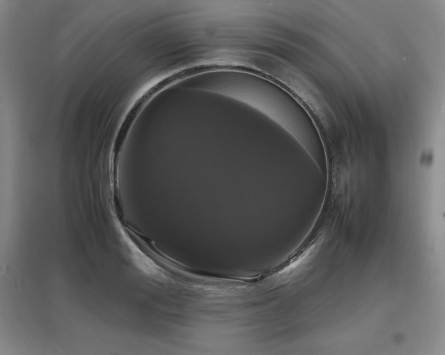 X0000097620988200802291321