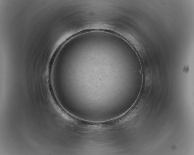 X0000097620990200802291321
