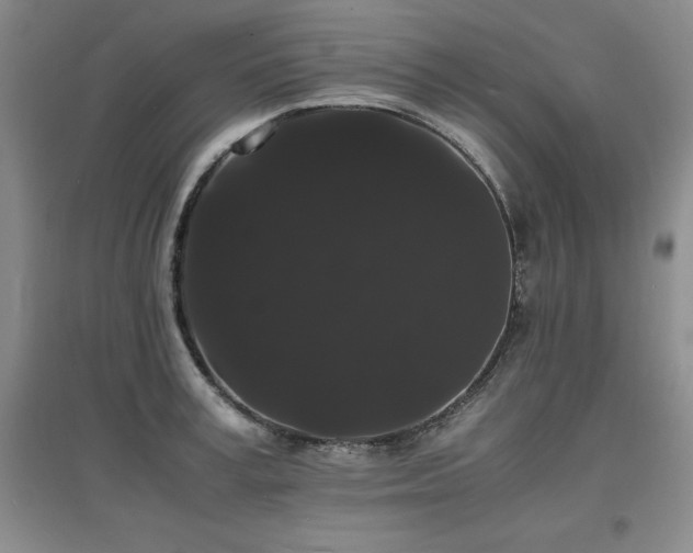 X0000097620995200802291321