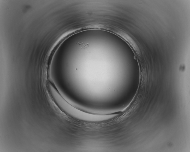 X0000097621000200802291321
