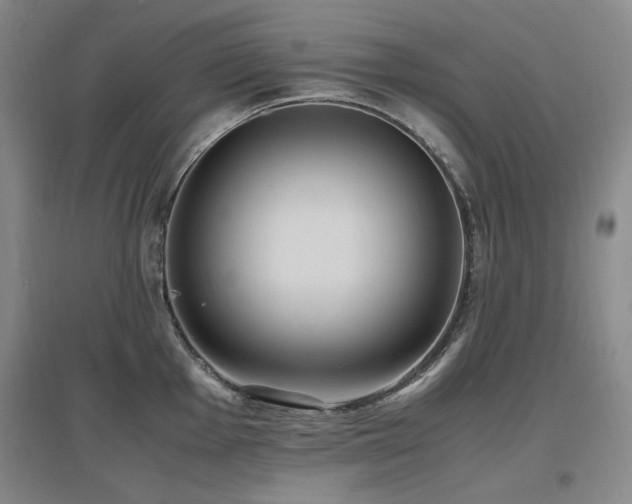 X0000097621001200802291321