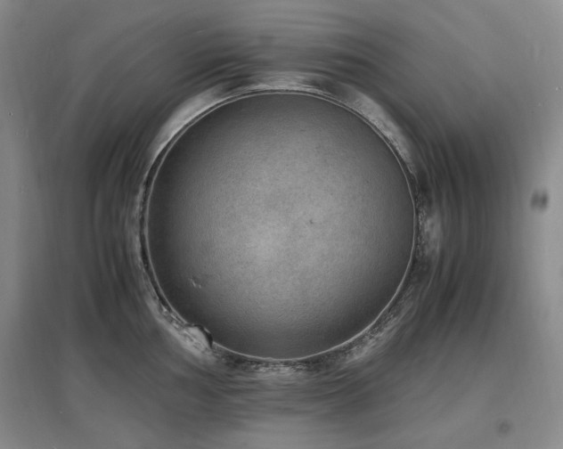 X0000097621002200802291321
