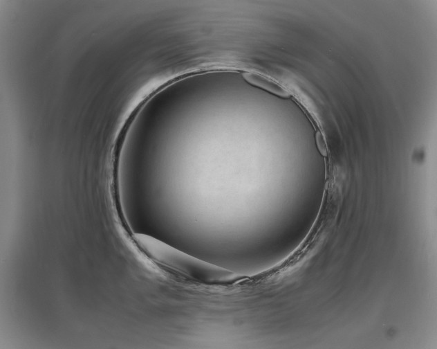 X0000097621005200802291321