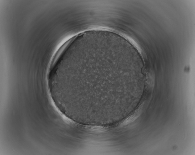 X0000097621007200802291321