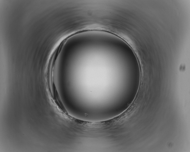 X0000097621008200802291321