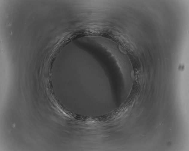 X0000097621009200802291320