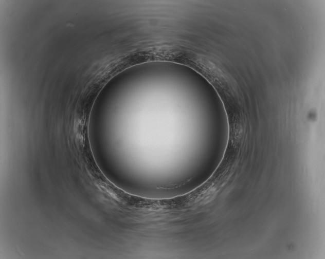X0000097621010200802291320