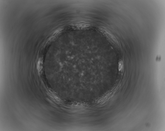X0000097621011200802291320