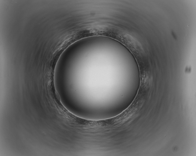 X0000097621012200802291320