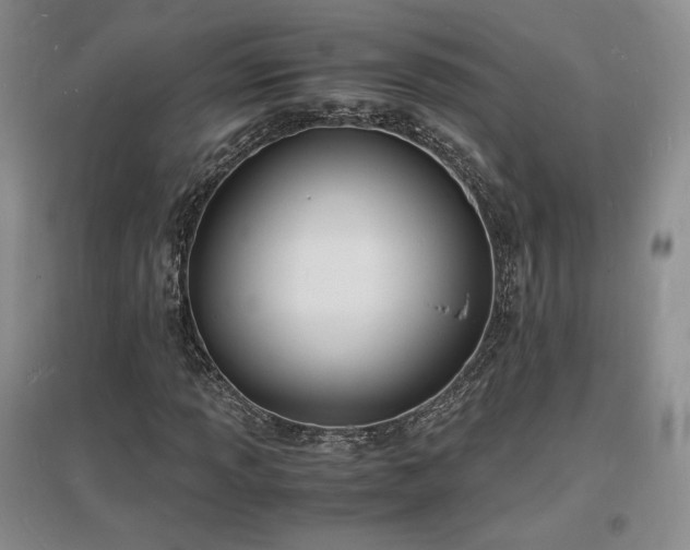 X0000097621013200802291320