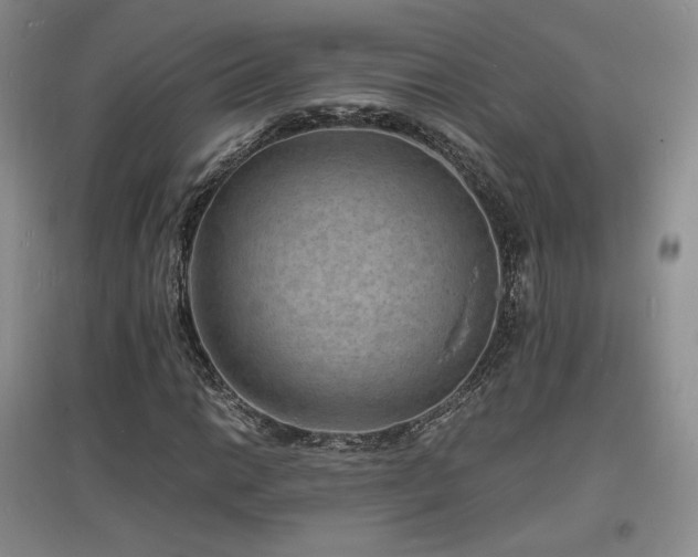 X0000097621014200802291320