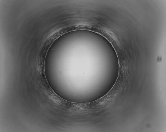 X0000097621015200802291320