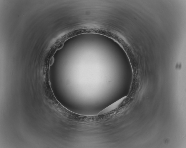 X0000097621016200802291320