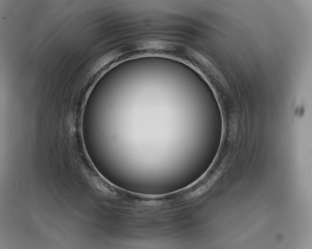 X0000097621017200802291320