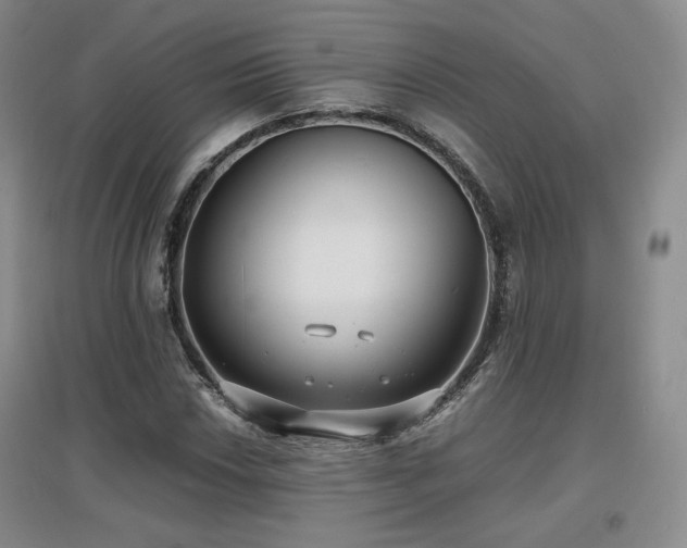 X0000097621018200802291320