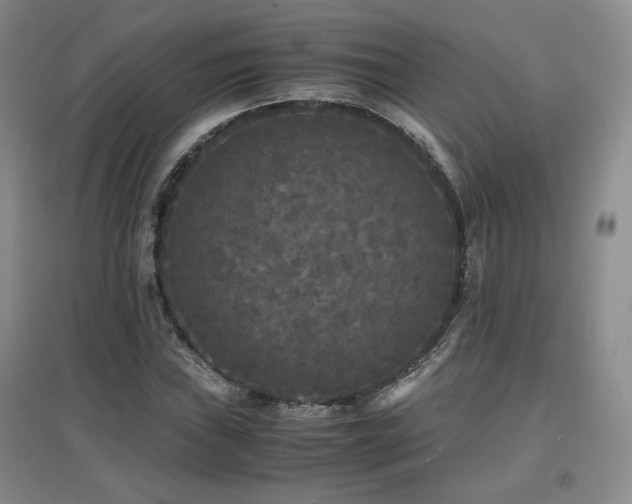 X0000097621019200802291320
