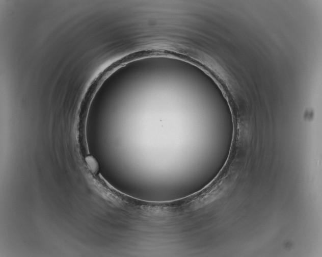 X0000097621020200802291320