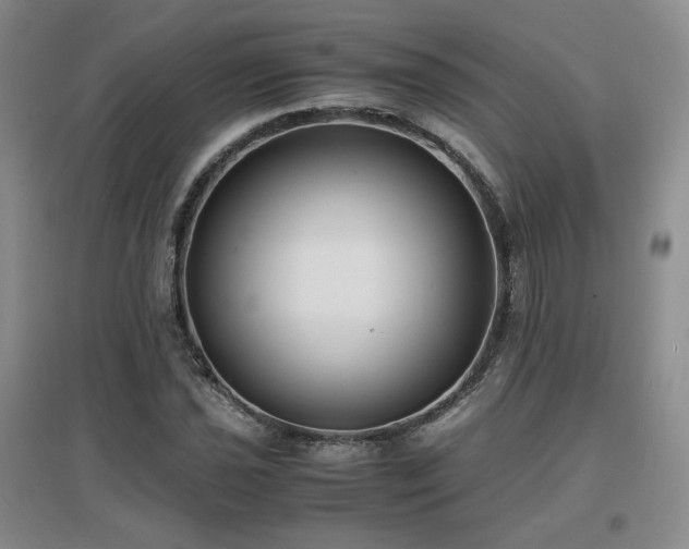X0000097621021200802291320