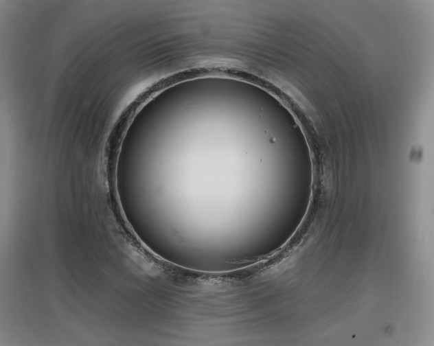 X0000097621022200802291320