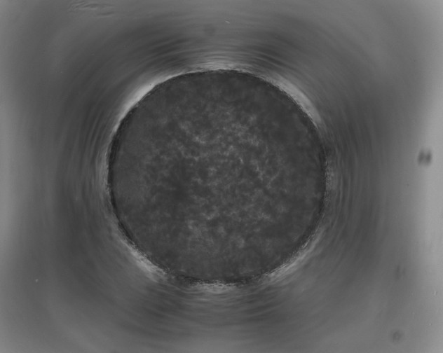 X0000097621023200802291320