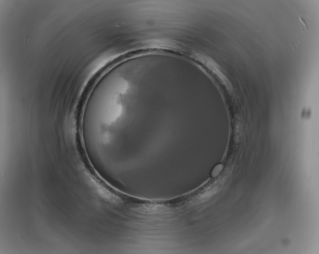 X0000097621024200802291320