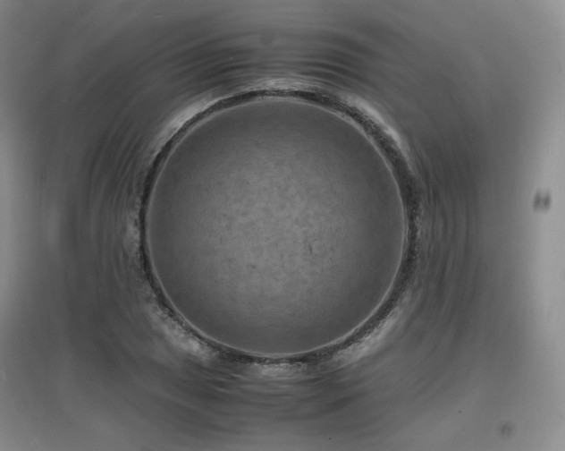 X0000097621025200802291320