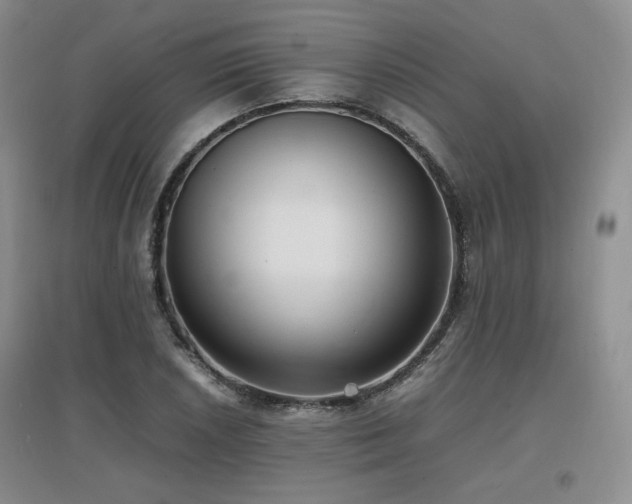 X0000097621026200802291320