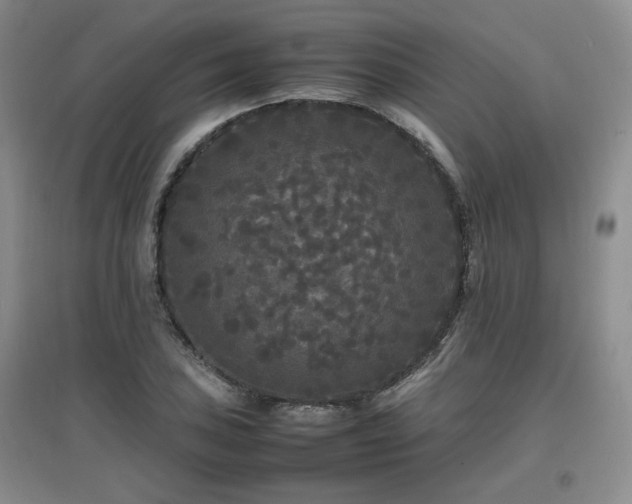 X0000097621027200802291320