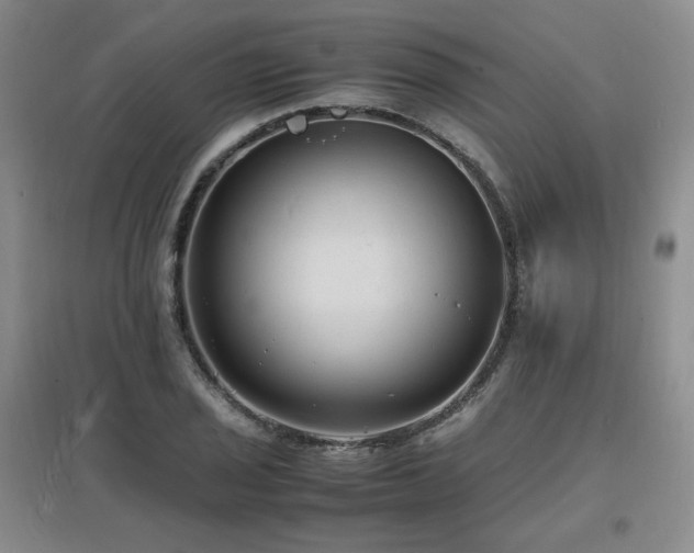 X0000097621029200802291320