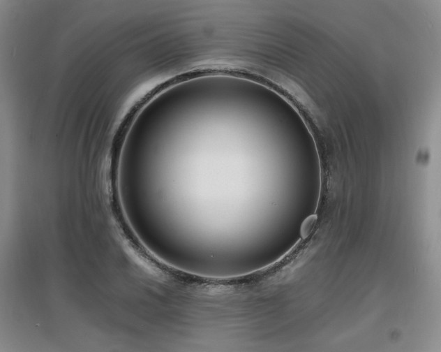 X0000097621030200802291320