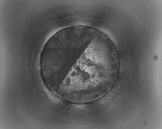 X0000097621031200802291320