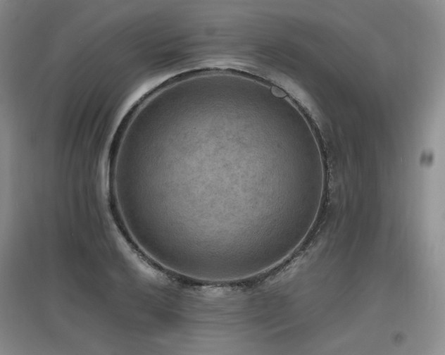 X0000097621032200802291320