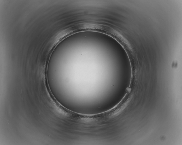 X0000097621033200802291320