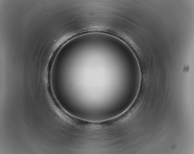 X0000097621034200802291320