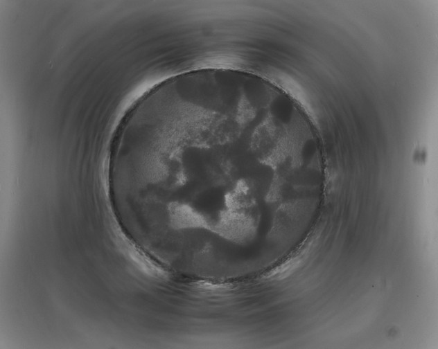 X0000097621035200802291321